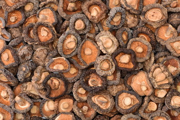 Closeup group of dried mushroom background