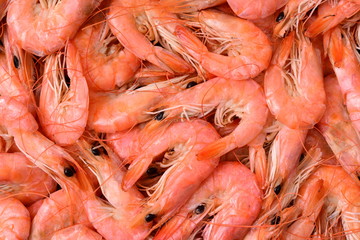 Shrimps close-up as a background
