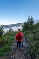 Boy hiking down trail in the northwest
