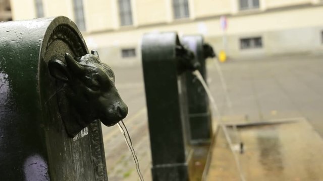 Turin, Piedmont, Italy. May 2019. A look at Piazza Gian Lorenzo Bernini. A triptych of drinking water fountains, the first shows the clear bull's head and the others blurred in the background.