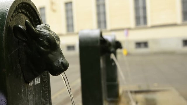 Turin, Piedmont, Italy. May 2019. A look at Piazza Gian Lorenzo Bernini. A triptych of drinking water fountains, the first shows the clear bull's head and the others blurred in the background.