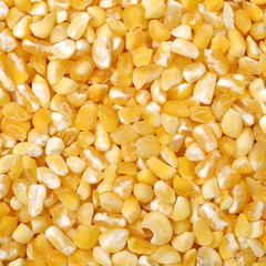 raw crushed corn groats close up