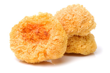 Tremella fuciformis on white background 