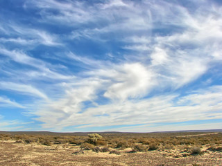 Fototapeta na wymiar Scenic landscapes of Punta Loma near Puerto Madryn, Argentina