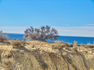 Fototapeta na wymiar Scenic landscapes of Punta Loma near Puerto Madryn, Argentina