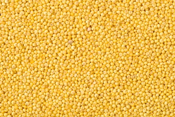 Millet background