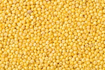 Millet background