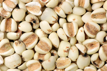 Job's tears background