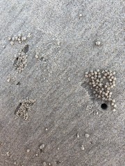 Grey sand with crab holes