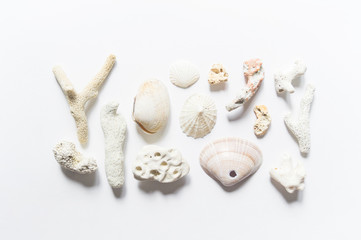 Seashells and corals collection flat lay still life are natural material.