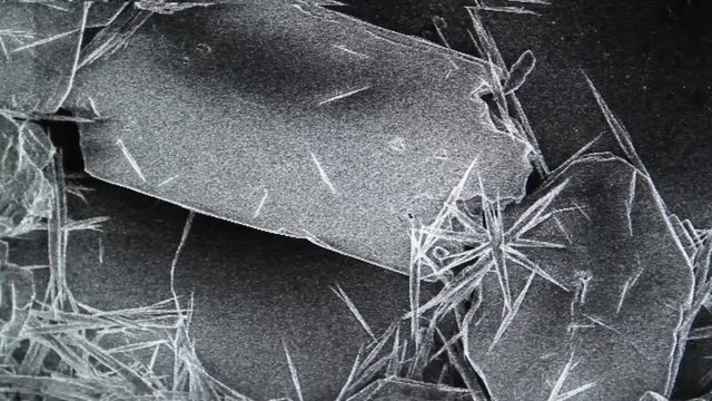 Laboratory Capture of a Magnified Sample via Scanning Electron Microscope