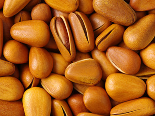 Pine nut background