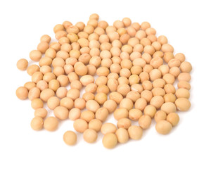 soy beans on white background.