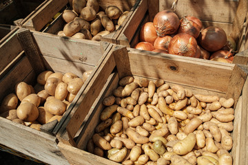 vegetables in the market
