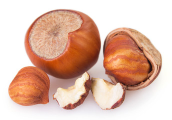 Hazelnut on white background