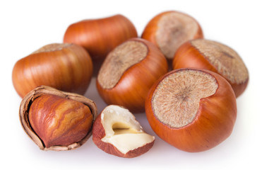 Hazelnut on white background