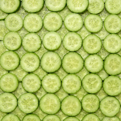 Cucumber slices background