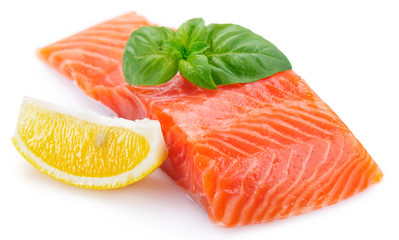 Red fish on white background