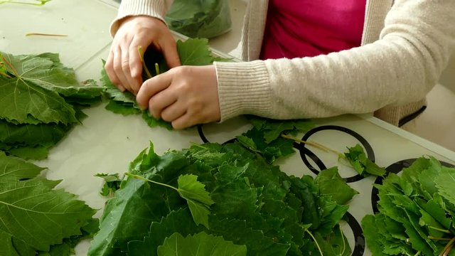 fresh vine grape leaf, leaf to make wrapping,4k video
