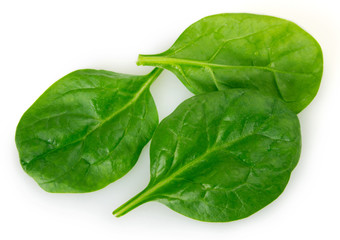 Fresh spinach on white background