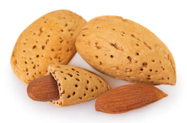 Fresh almond o white background