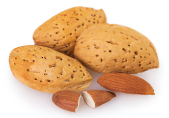 Fresh almond o white background