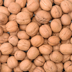raw and dried walnut as a texture 