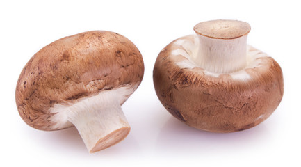 Fresh mushrooms on white background