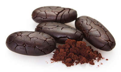 Cocoa bean with powder on white background