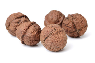 walnut isolated on the white background