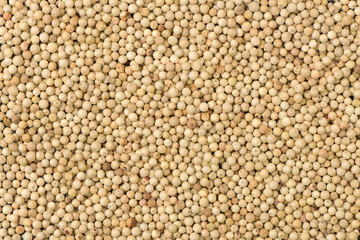 white peppercorns background 