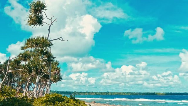 sandy sea score beach on a small tropical south pacific island with pandanus palm trees and green vegetation and crystal clear water