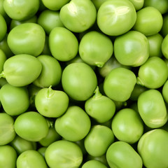 fresh green Peas background texture vegetable