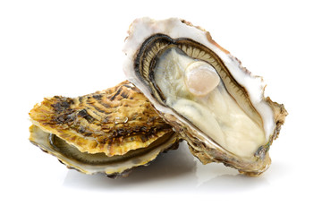 Fresh opened oyster on white background