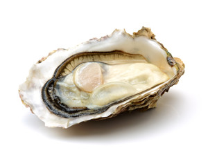 Fresh opened oyster on white background - obrazy, fototapety, plakaty