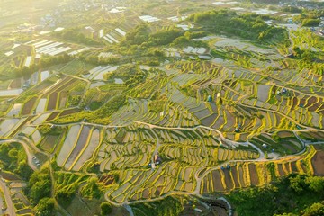 早朝の姨捨の棚田を空撮