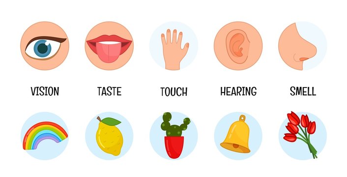 Five senses illustrations. Vision, taste, touch, smell, hearing.