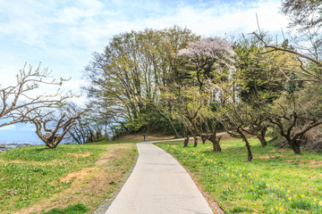 春の箕輪城の風景