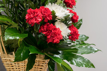 Close-up compositions of different flowers on a green background. Flower arrangements of roses, lilies, chrysanthemums close-up on a background of greenery. Greeting card with place for inscription 
