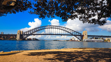 Sydney Harbour Bridge- With Tree Border