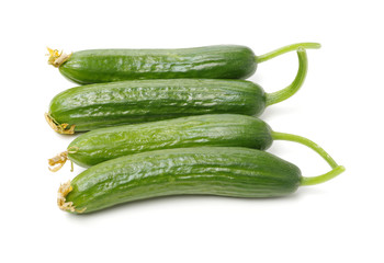 Lebanese Cucumber isolated on white background