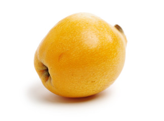 Close up view of some loquat fruit isolated on a white background 