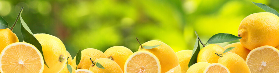 Lemons from your favorite garden
