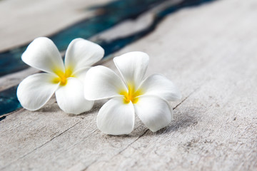 Plumeria flowers on wooden textured background with blue glass.