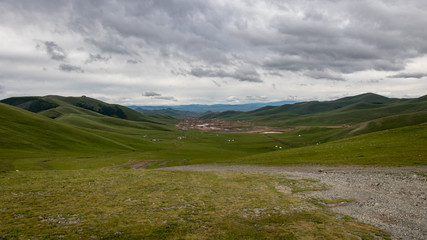 Mongolian Steppe
