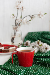 A cup of black tea on a green napkin, homemade rye bread with soft cream cheese and smoky dried tomatoes, a glass vase of apricot bloom on the white background.