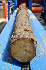 Woodworking machine. Blue machinery with a lying log and sawdust. Close up.