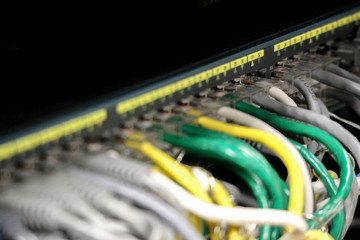 Colorful network cables connected to switch router ports closeup