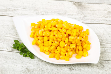 Young sweet corn