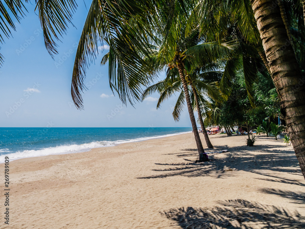 Wall mural coconut palm tree on the beach
